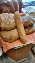 Taller de desayunos con pan