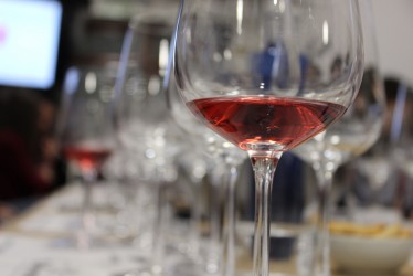 Curso de iniciación a la cultura del Vino y Cata de vino