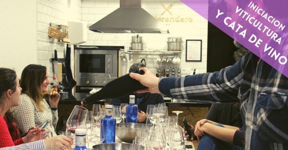 Curso iniciación a la viticultura y Cata a ciegas